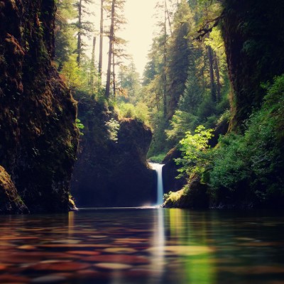 1920 x 1080 HD Wallpapers 1988